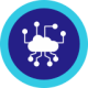 network (1)
